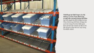 Hiểu về Hệ thống Carton Flow Shelving (2)