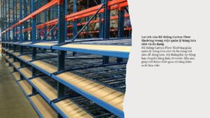 Hiểu về Hệ thống Carton Flow Shelving (3)