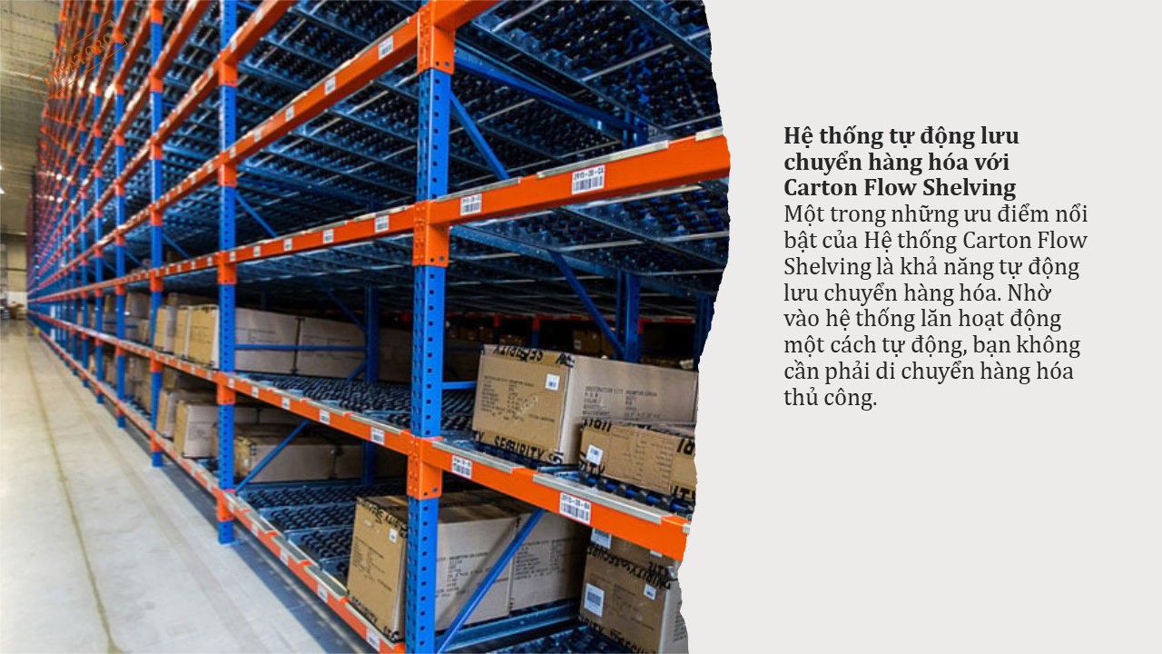 Hiểu về Hệ thống Carton Flow Shelving 4 Hiểu về Hệ thống Carton Flow Shelving (4)