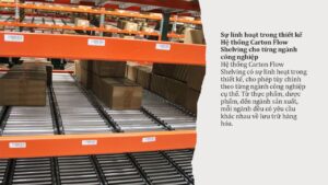 Hiểu về Hệ thống Carton Flow Shelving (6)