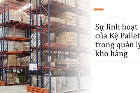 Sự linh hoạt của Kệ Pallet trong quản lý kho hàng 12 Sự linh hoạt của Kệ Pallet trong quản lý kho hàng (2)