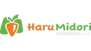 Harumidori (Copy)