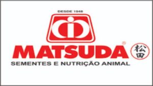 Matsuda (Copy)