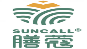 Suncalltv (Copy)
