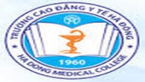 TRUONG Y TE HA DONG (Copy)