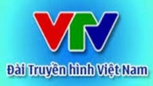 VTV (Copy)
